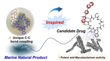 图示

AI 生成的内容可能不正确。