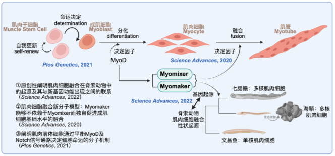 A screenshot of a computer screen
AI-generated content may be incorrect.